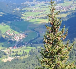 Ausblick
