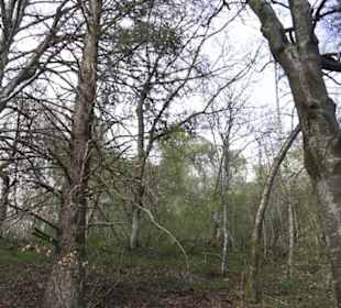 Wanderweg Hochgehswiggert