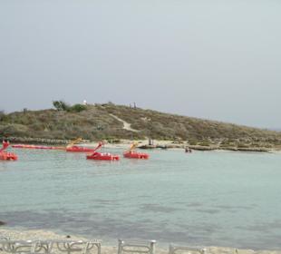 Nissi Beach