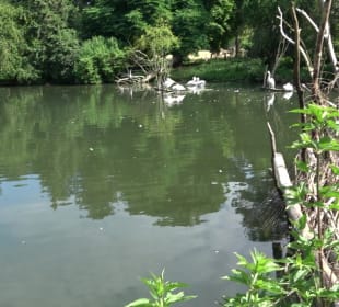 Zoo Heidelberg