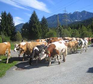 Almabtrieb in Rattendorf