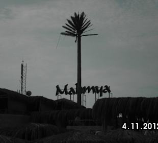 Die künstliche Palme