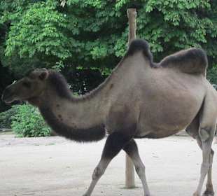 Impressionen aus dem Zoo Karlsruhe