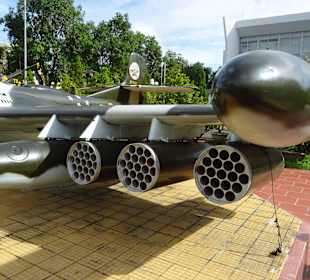 Genannt Warzenschwein, starke Bewaffnung