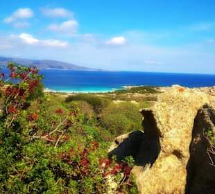 Landschaft auf Asinara