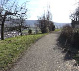 Wanderung Florianrunde