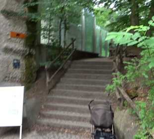 Tierpark Hellabrunn - Polarwelt