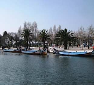 Palmen, Wasser und Boote