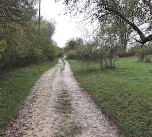 Naturschutzgebiet Listhof