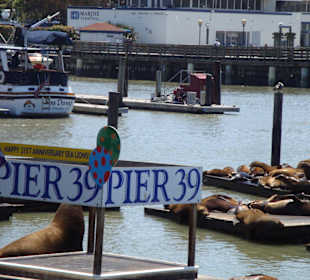Pier 39