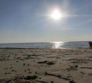 Wir hatten den Strand fast immer für uns allein ..