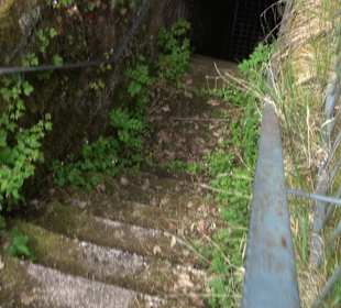 Burgruine Sterneck
