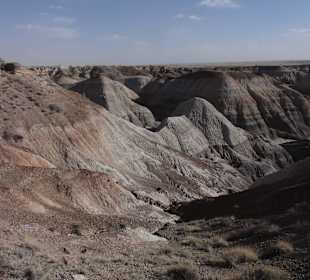 Цветная пустыня Аризоны_Blue_Mesa8