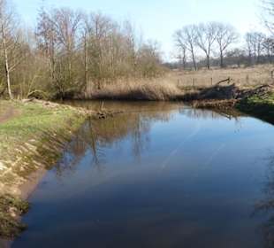 Abwechslungsreicher Weg