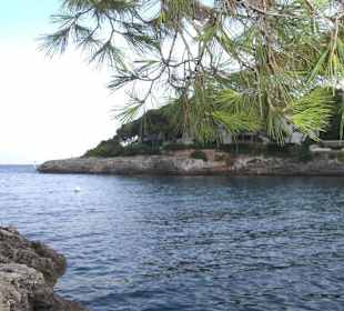 Die Cala Gran in Cala d'Or