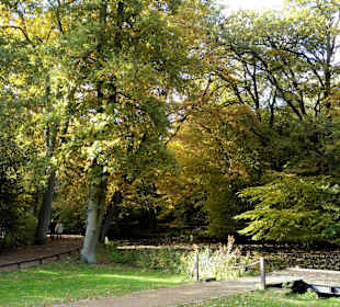 Herbstspaziergang durch den Bürgerpark Bremen