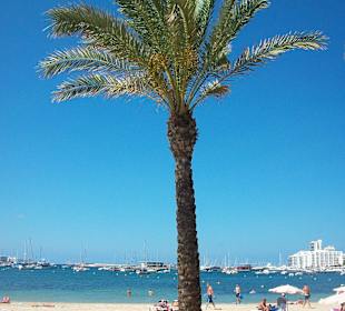 Bucht von San Antoni