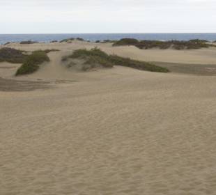 Dünen von MasPalomas