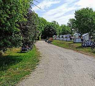 Stadtrundgang Wiek auf Rügen