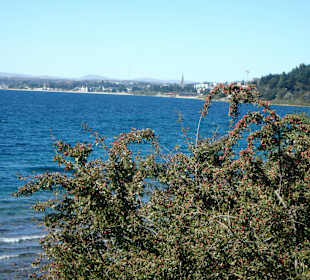 Blick auf den Nahuel Huapi See