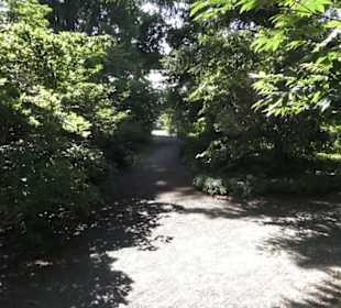 Botanischer Garten