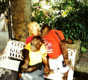 Ein Küsschen in Ehren