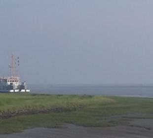 Hafen Federwadersiel klasse zum Fisch holen