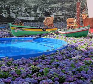 Impressionen vom Blumenfestival in Funchal