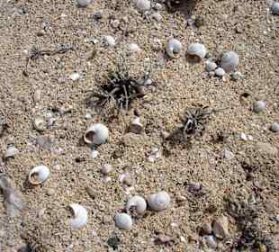 Wanderung zur Westküste