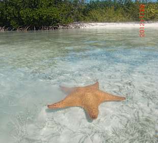 Katamaranfahrt zum Paradies!