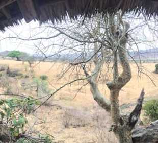 Tsavo West, Rhino Valley Camp, 2. Übernachtung
