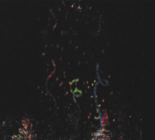 Lichtmotive Kaiserburg