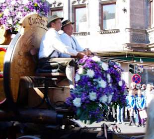 Tucher Bräu 6 Rheinländischen Kaltblüter