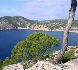 Auf dem Weg zum Cap Andritxol