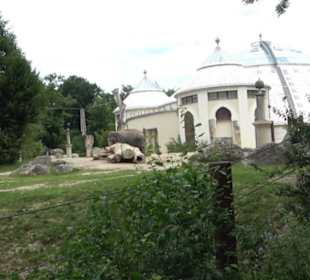 Tierpark Hellabrunn - Reich der Elefanten