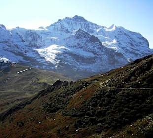 Panoramaweg Männlichen-Kleine Scheidegg (7)