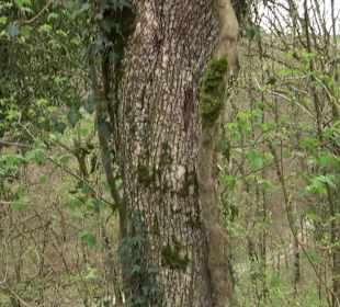 Wanderung rund um das Rusenschloss Gerhausen