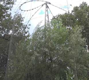 Vogelfreifluggelände