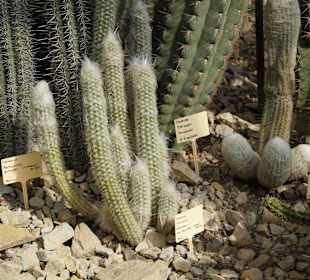 Anlage Planten un Blomen