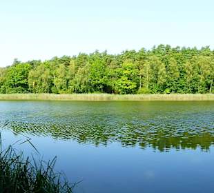 Der Beetzer See direkt am Hotel & Spa Sommerfeld