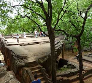 Sigiriya Rock (Löwenfelsen)