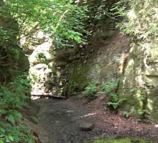 Wanderweg - Alter Steinbruch Pfaffenberg Runde