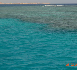 Подводный мир