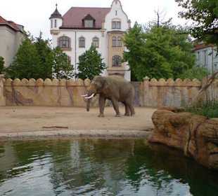 Zoo Leipzig