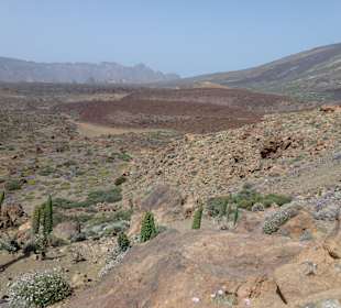 Nationalpark --> Teide