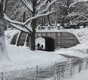 Central Park - 2 Tage später