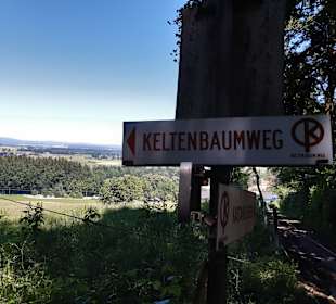 Wandern St. Georgen im Attergau