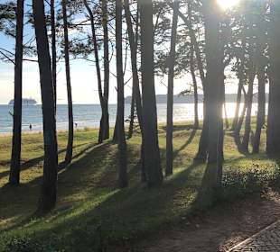 Wandern Binz auf Rügen