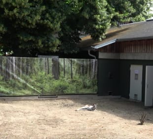 Zoo Heidelberg