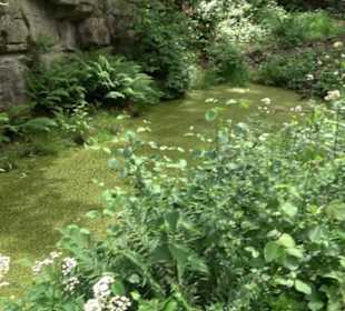 Schutzgebiet Spitzberg, Pfaffenberg